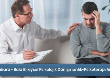 Ankara - Bala Bireysel Danışmanlığın/Psikoterapinin Amacı Nedir?