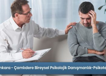 Ankara - Çamlıdere Bireysel Danışmanlığın/Psikoterapinin Amacı Nedir?