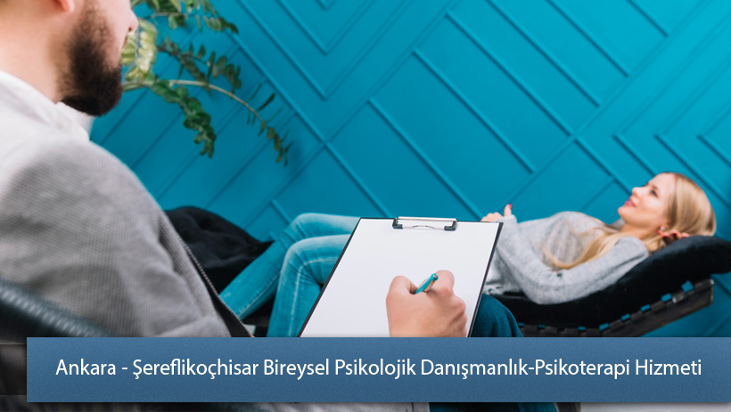 Ankara – Şereflikoçhisar Bireysel Danışmanlık/Psikoterapi Hizmeti Nedir?