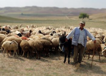 ruyada coban gormek ve anlami 62a467e40f152