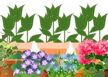 ruyada saksida yesil cicek gormek ve anlami ne anlama gelir 62a45a88ab597