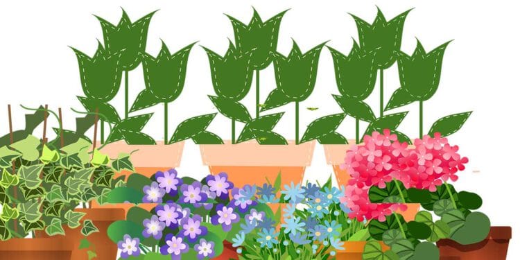 ruyada saksida yesil cicek gormek ve anlami ne anlama gelir 62a45a88ab597