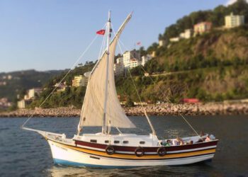 ruyada taka gormek ve anlami 62a468a5edaf1