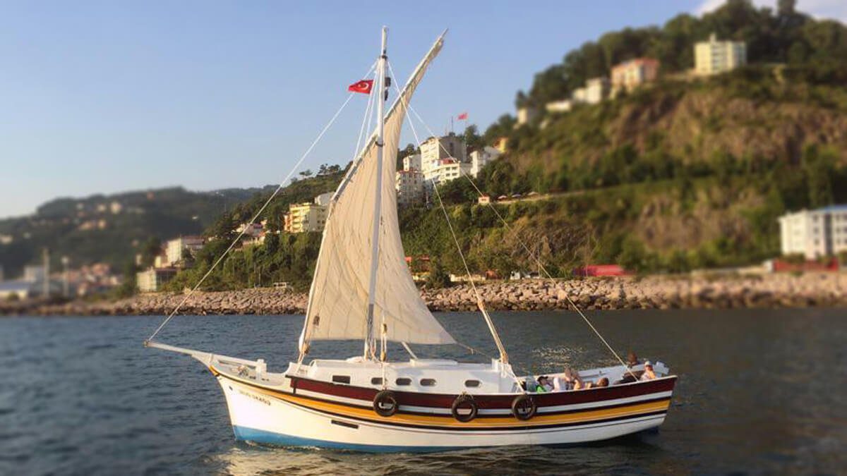Rüyada Taka Görmek ve Anlamı