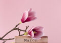 8 MART PSAMER