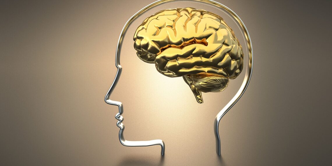 Beyin ve Kumar: Online Kumarın Nörobiyolojik Etkileri 1 BEYIN KUMAR PSAMER