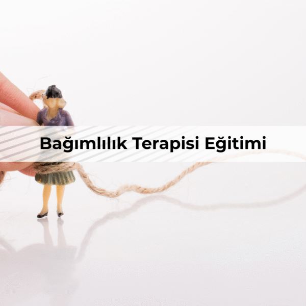 Bağımlılık Terapisi Eğitimi