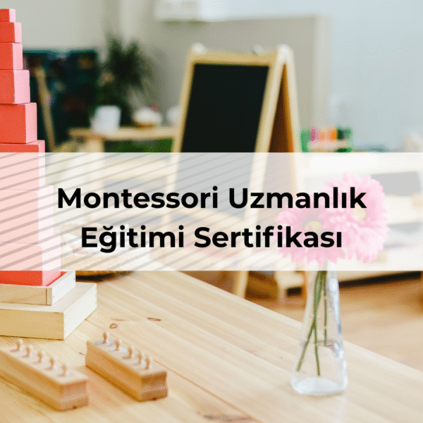 Montessori Uzmanlık Eğitimi Sertifikası