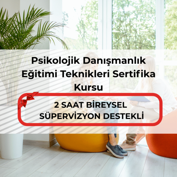 Psikolojik Danışmanlık Eğitimi Teknikleri Sertifika Kursu