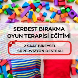 SERBEST BIRAKMA OYUN TERAPİSİ EĞİTİMİ