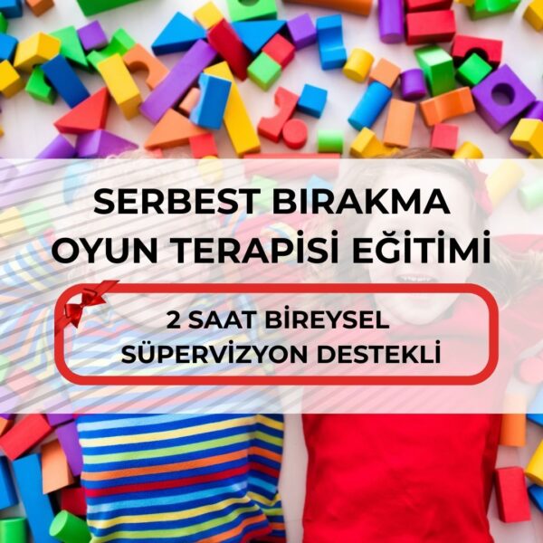 SERBEST BIRAKMA OYUN TERAPİSİ EĞİTİMİ